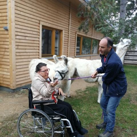Lama & Trommel Workshop – Foto 2 von 9