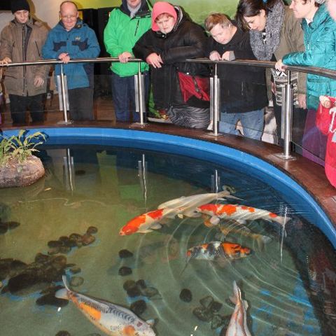 „Mega Zoo“ in Wien – Foto 5 von 35