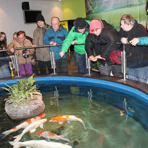 „Mega Zoo“ in Wien – Foto 6 von 35