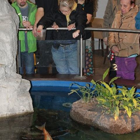 „Mega Zoo“ in Wien – Foto 7 von 35