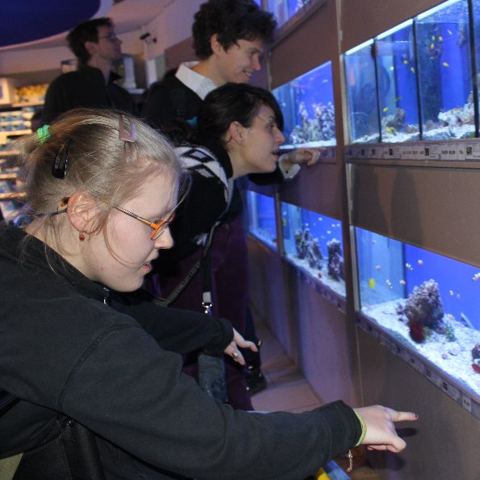 „Mega Zoo“ in Wien – Foto 12 von 35