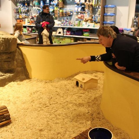 „Mega Zoo“ in Wien – Foto 14 von 35