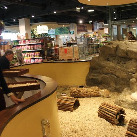 „Mega Zoo“ in Wien – Foto 19 von 35