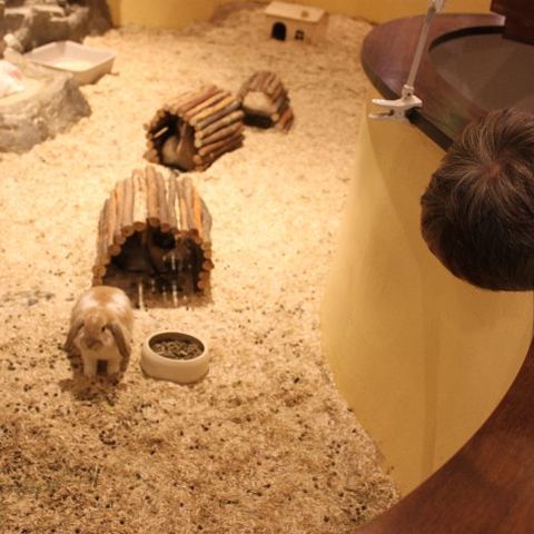 „Mega Zoo“ in Wien – Foto 20 von 35