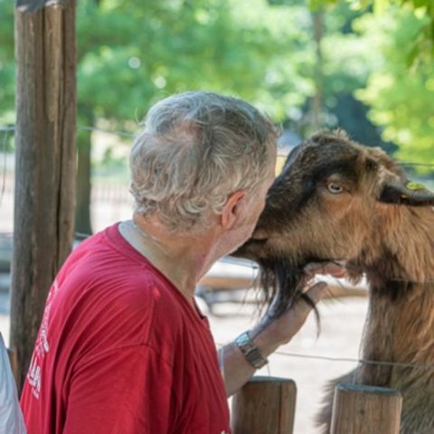 Besuch im Tierpark Ernstbrunn – Foto 3 von 6