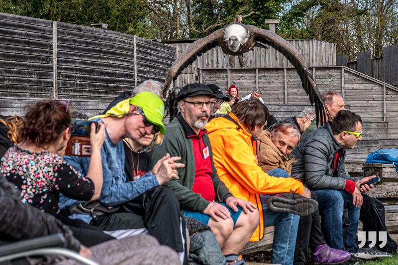 Eine Gruppe sitzt fröhlich auf einer Holztribüne im Tierpark.